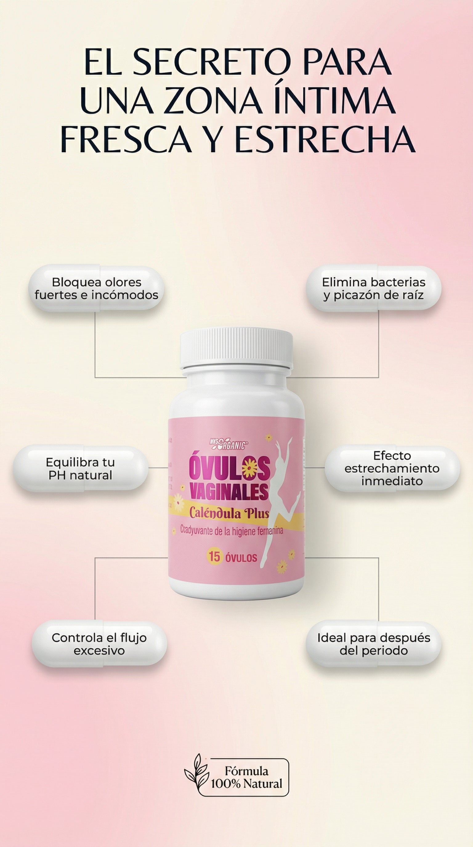 Encabezado